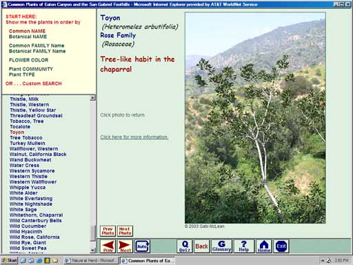 Click photo to go back to Photo Page.