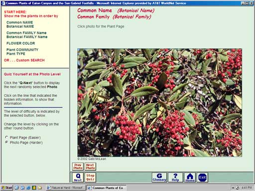 Click photo to go back to Quiz Mode page.