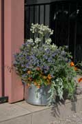Flower pot on porch in Covina, California