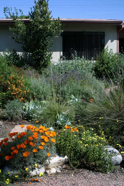 Front yard in Covina, California