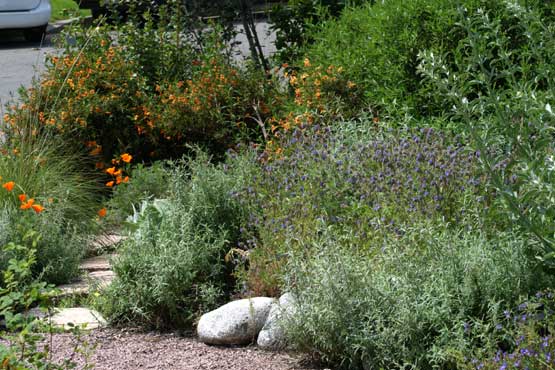 Front yard in Covina, California