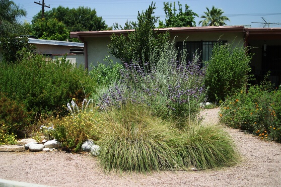 Front yard in Covina, California