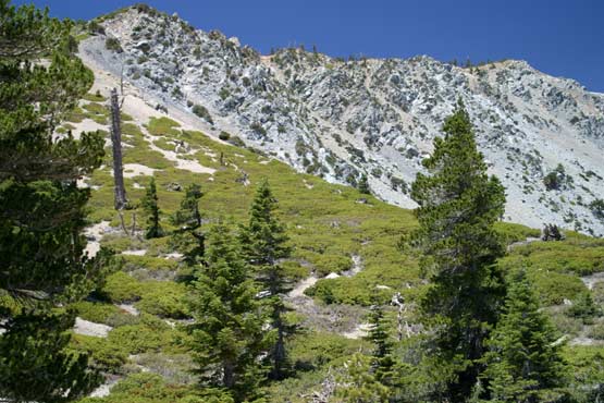 Mount Baldy from the South ridge