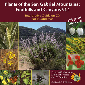 Plants of the San Gabriel Mountains: Foothills and Canyons - Features