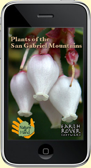 Launchscreen of the app