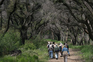 CNPS trip to Evey Canyon