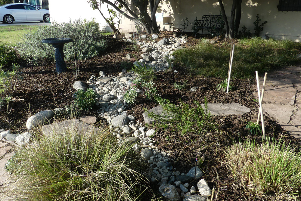 Swale in the front garden