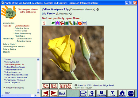 A sample Photo Page