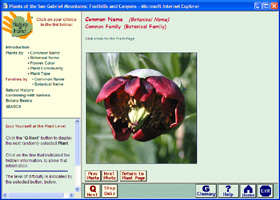 A sample quiz page