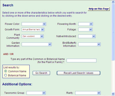 A sample Search Page